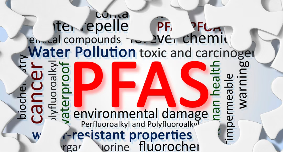 1768740070374598.jpg 1768740070374598.jpg